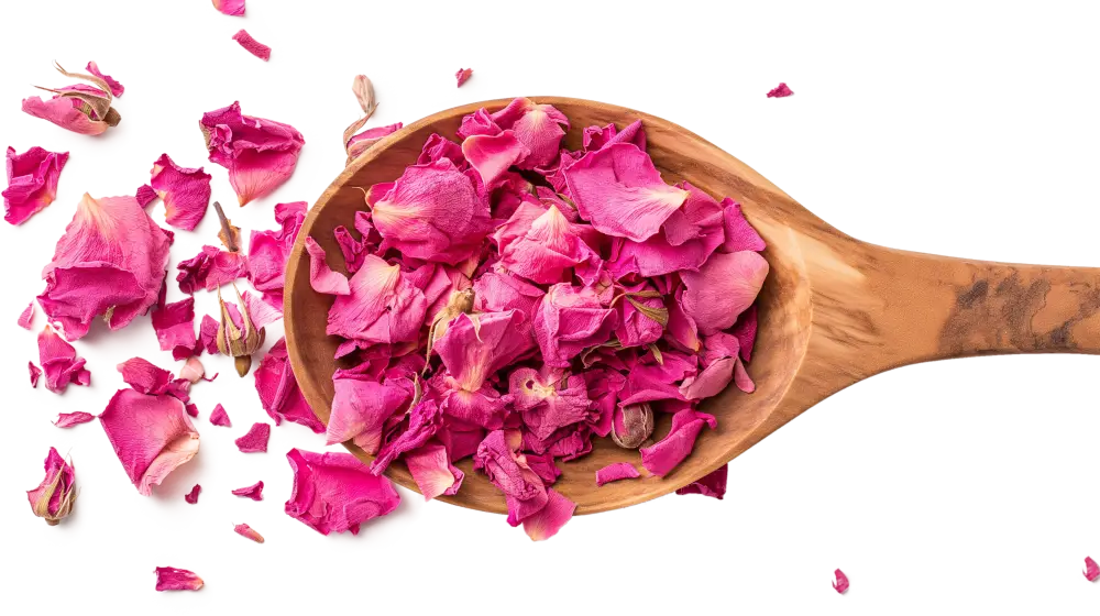 Team Background Image